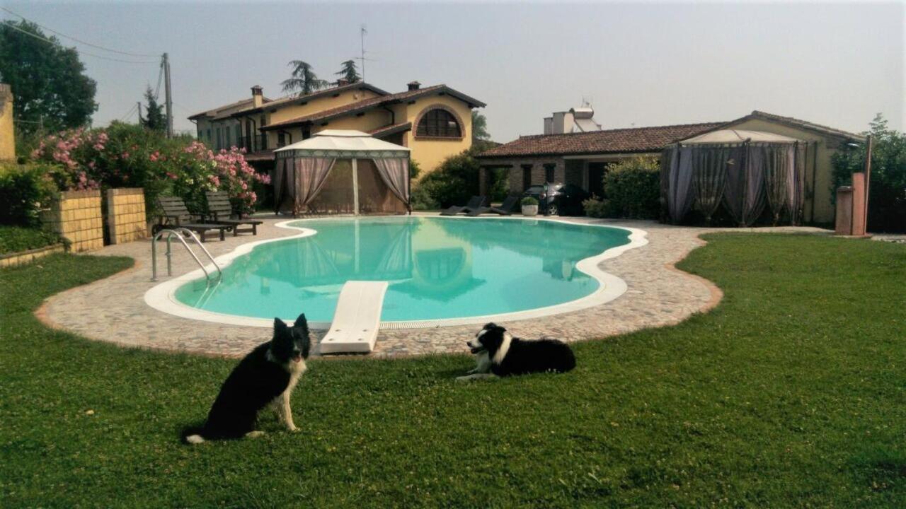 B&B Il Martin Pescatore Bagnolo San Vito Экстерьер фото