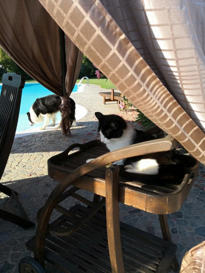 B&B Il Martin Pescatore Bagnolo San Vito Экстерьер фото